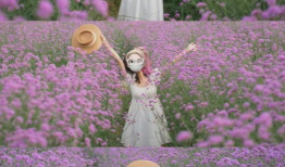 花海动漫,描绘青春梦想的奇幻画卷